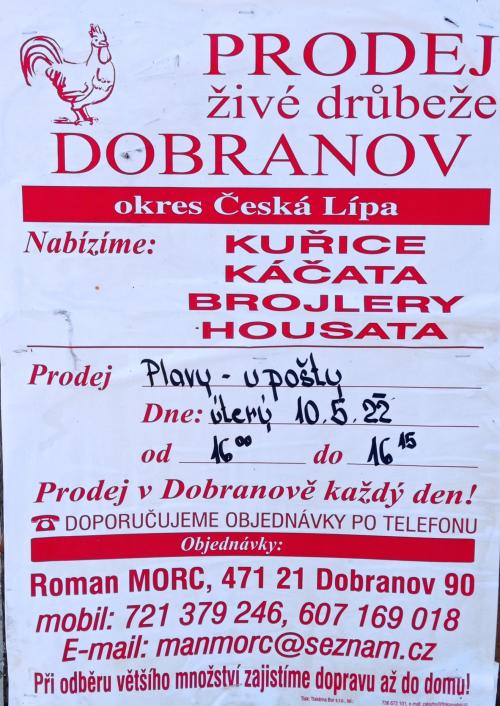 Prodej živé drůbeže Dobranov 2