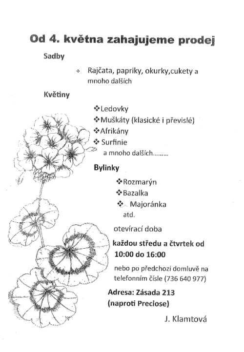 zahradnictví Klamtovi v Zásadě zahajuje prodej  1